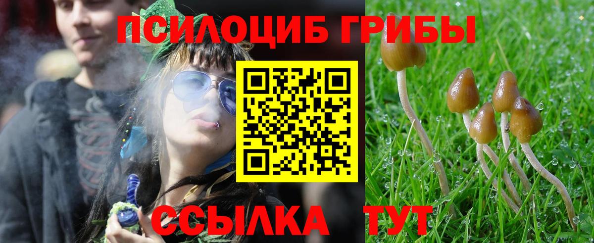 Галлюциногенные грибы Magic Shrooms  Галлюциногенные грибы прущие грибы  Вход с VPN  Кимовск 