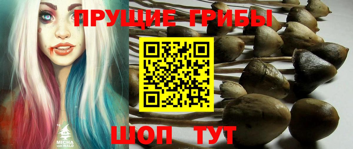 Галлюциногенные грибы Magic Shrooms Кимовск