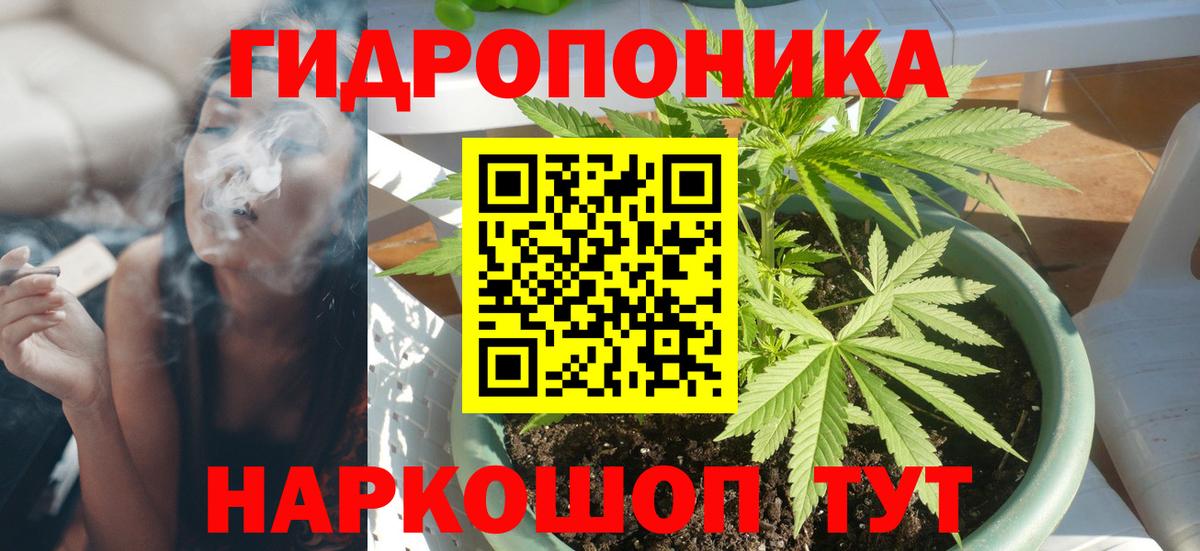 Кимовск  Шишки марихуана White Widow  Вход с VPN  Бошки марихуана марихуана  МАРИХУАНА конопля 